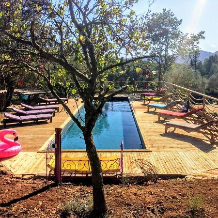 Arche De Noe Atypique, Boheme , Nature, Piscine Chauffee De Paques A Toussaint , Spa , Sauna , Loisirs Le Beausset Bagian luar foto